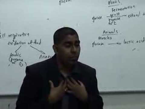 Cikgu Vijay-Why spotting questions is important – UPSR / PT3 / SPM